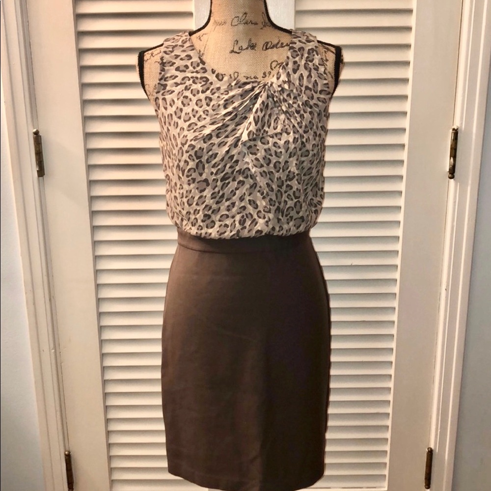 🦄 NWT LOFT Leopard shift dress, size 8P